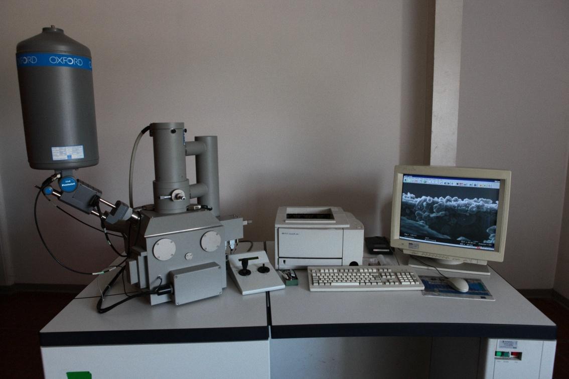 Microscopio a Scansione Elettronica 