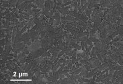 SiC powder microstructure derived from exhausted tyres