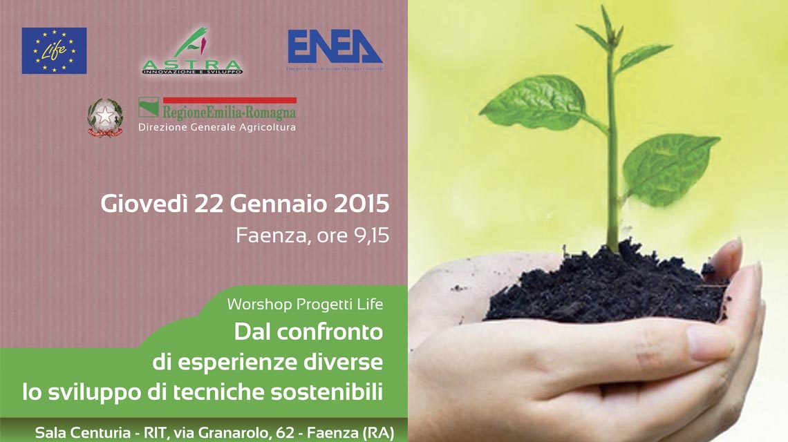 Life workshop gennaio 2015